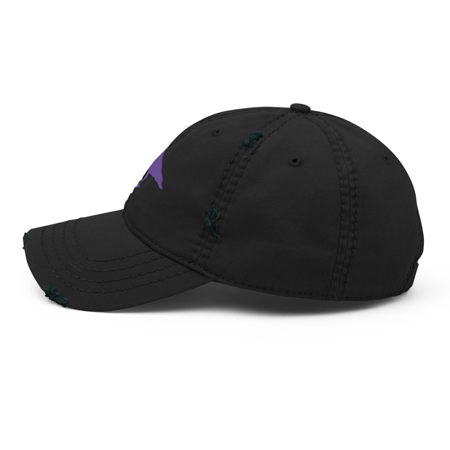 The Raven Unisex Distressed Dad Hat