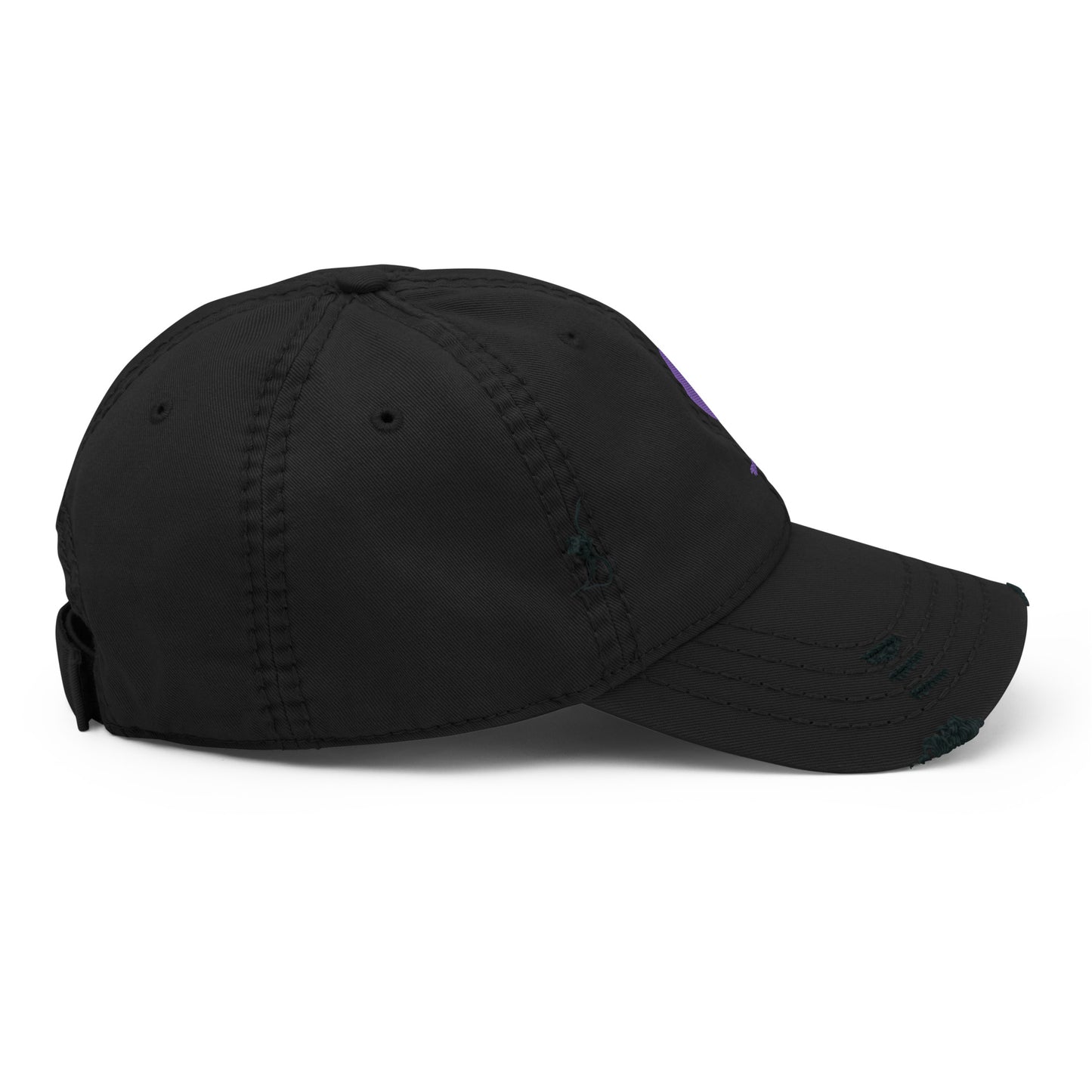 The Raven Unisex Distressed Dad Hat